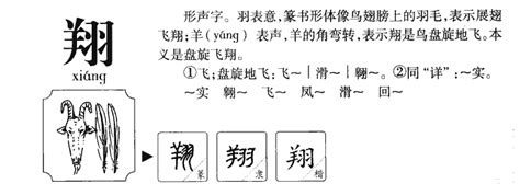 翔的意思名字|翔字的含义和寓意